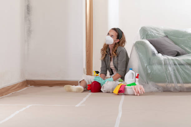 Trusted Black Mold Removal service in Oradell, NJ - Cheap Mold Removal