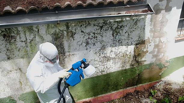 Trusted Mold Inspection service in Oradell, NJ - Cheap Mold Removal
